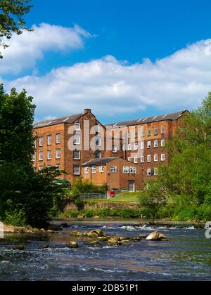 Der Fluss Derwent und Wildschweine Head Mills in Darley Abbey Ein Dorf in der Nähe von Derby in den East Midlands England Stockfoto