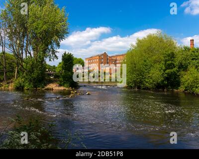 Der Fluss Derwent und Wildschweine Head Mills in Darley Abbey Ein Dorf in der Nähe von Derby in den East Midlands England Stockfoto