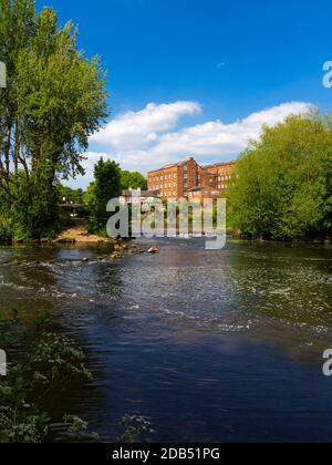 Der Fluss Derwent und Wildschweine Head Mills in Darley Abbey Ein Dorf in der Nähe von Derby in den East Midlands England Stockfoto