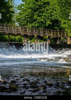 Wehr auf dem Fluss Derwent in der Nähe von Wildschweinen Head Mills at Darley Abbey ein Dorf in der Nähe von Derby in den East Midlands England GB Stockfoto