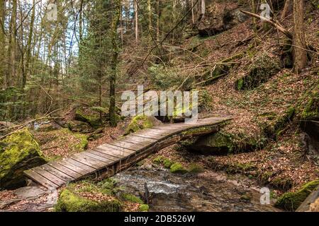 Kleine Brücke über den Bach entlang des Canyons mitten im grünen Wald Stockfoto