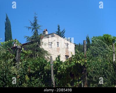 Villa in der Toskana, zwischen Weinbergen und Olivenhainen ein Stockfoto