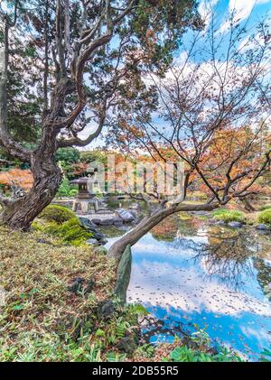 Yukimi Stein Laterne zwischen gesteppte Kiefern in der Art eines Ukiyoe drucken in der Kyufurukawa Garten in Tokio erscheinen Stockfoto