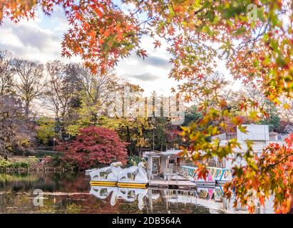 Niedliche ente Tretboot schwimmend in den Teich von kichijoji Inokashira Park Stockfoto