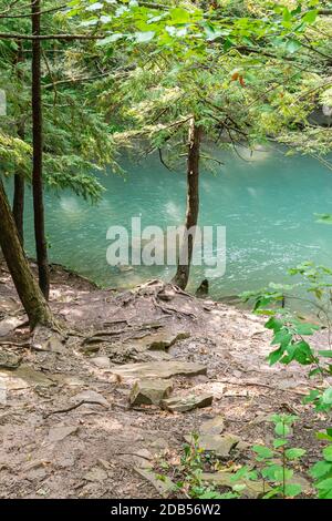 Lower Decew Conservation Area Ontario Kanada Stockfoto