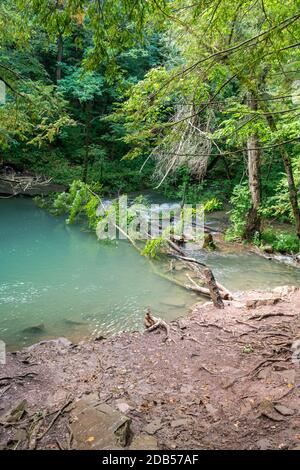 Lower Decew Conservation Area Ontario Kanada Stockfoto