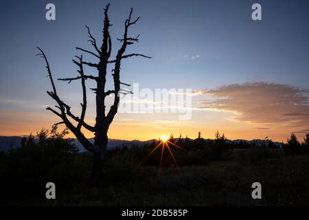 WA18126-00...WASHINGTON - Sonnenuntergang über der Cascade Mountain Range von Cooper Mountain oberhalb des Lake Chelan im Okanogan Wenatchee Natio Stockfoto