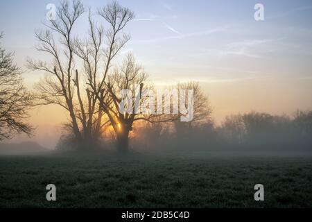 Sonnenaufgang im März über die Streuobstwiesen im Kahlgrund. Stockfoto