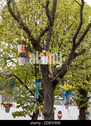 Noordwijkerhout, Niederlande - 23 April, 2017: Dekorationen mit hängenden Eimer mit gelben Narzissen in der traditionellen Blumen parade Bloemencorso fr Stockfoto