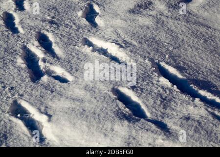 Schnee driftet im Winter, Schnee von großer Dicke nach Schneefall Stockfoto