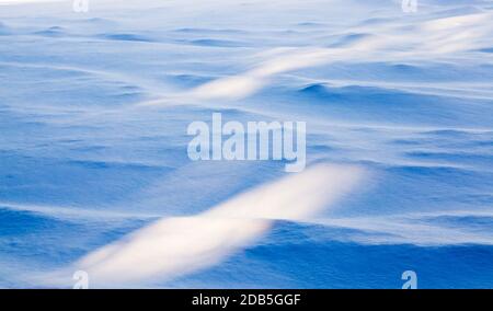 Blauer Farbton des Schnees und Schatten von hohen Bäumen auf frisch gefallener Schnee im Winter, Nahaufnahme in der Natur bei Kälte und Frost auf der unebenen Oberfläche von Stockfoto