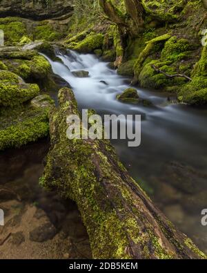 Kleiner üppiger Wasserfall in der britischen Landschaft, umgeben von grünem Moos. Stockfoto