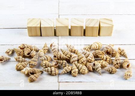 Muschel-bestückt in einem Bündel, gibt es Platz für eine Nachricht zusammen mit den Holzwürfeln, auf die Sie den Text schreiben können. Stockfoto