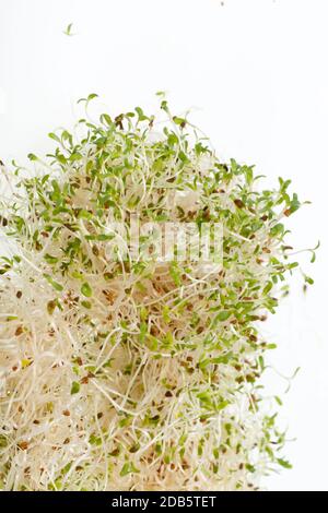 Die gesunde Ernährung. Frischen Sprossen isoliert auf weißem Hintergrund Stockfoto