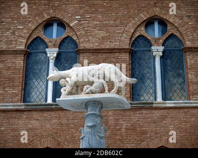 Siena - Spalte mit der Wölfin vor dem Dom Fassade Stockfoto