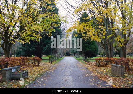 Eine Straße durch Bäume im Herbst auf dem viktorianischen Friedhof in Boston Stockfoto