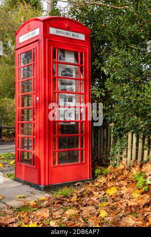 Eine alte BT-Telefonbox, die in eine History Box in Leigh, Surrey, umgewandelt wurde und Informationen zur lokalen Geschichte bietet Stockfoto