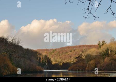 Winterszene am Swanbourne Lake in Arundel, West Sussex Stockfoto