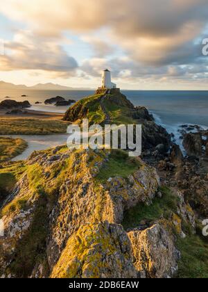 Goldenes Morgenlicht auf Felsen am Llanddwyn Lighthouse an der Anglesey Coast, Wales, Großbritannien. Stockfoto