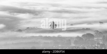Ein einbunter Baum, umgeben von einer Schicht aus dichtem Nebel im Tal. Stockfoto