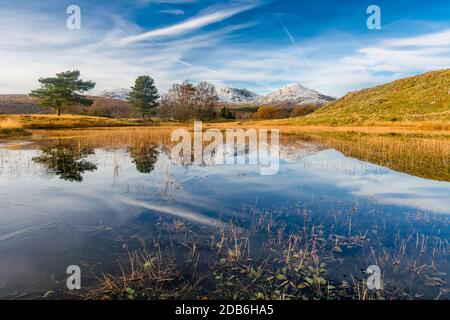 Schöne Reflexionen in Kelly Hall Tarn im englischen Lake District an einem sonnigen Herbstnachmittag. Stockfoto