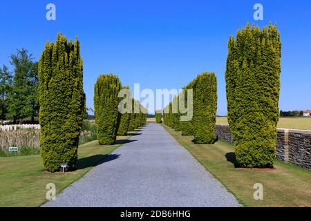 Zypressen am Eingang des Bedford House Cemetery (1. Und 2. Weltkrieg), entworfen von Wilfred Clement von Berg in Zillebeke (Ypern), Belgien Stockfoto