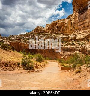 Canyons und erodierte Sandstein- und Kalksteinformationen dominieren die Landschaft im Capitol Reef National Park in Utah. Stockfoto