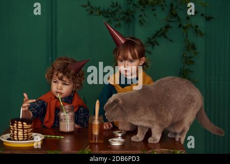 Heim Kinderparty. Junge und ein Mädchen Zwillinge feiern ihren Geburtstag und spielen mit einer schönen Katze in einem stilvoll eingerichteten Raum mit grünen Wänden. Konz Stockfoto