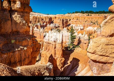 Hoodoos und erodierte Sandsteinformationen entlang der Wanderwege Queen's Garden und Navajo Loop im Bryce Canyon National Park in Utah. Stockfoto