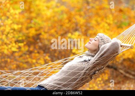 Seitenansicht Porträt einer entspannten Frau trägt Pullover liegend Auf einer Seilhängematte im Herbst in einem schönen Wald Stockfoto