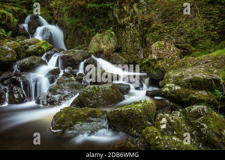 Wunderschöner Wasserfall; Lodore Falls in Keswick, Lake District, Großbritannien. Stockfoto