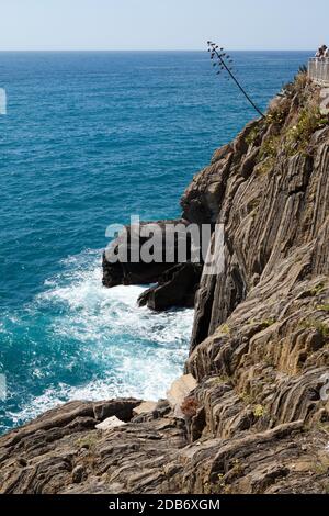 Küste von Cinque Terre. Ligurien Stockfoto