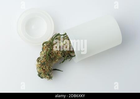 Cannabis Knospe in Verpackung auf weißem Hintergrund. Medizinische Cannabisdroge. Stockfoto