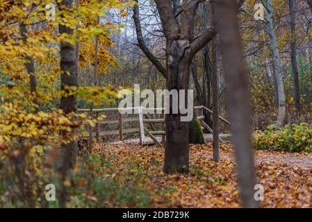 Die Holzbrücke verbindet den Naturlehrpfad über den Graben Und der Weg führt Sie weiter in der wunderbaren Vielfalt Und Pracht der Natur in der aut Stockfoto