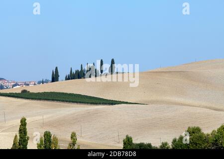 Die Landschaft der Toskana. Italien Stockfoto