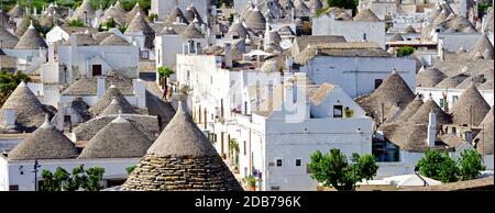 Blick über die weißen Häuser von Alberobello mit Trulli-Dächern in der Region Apulien, Italien Stockfoto