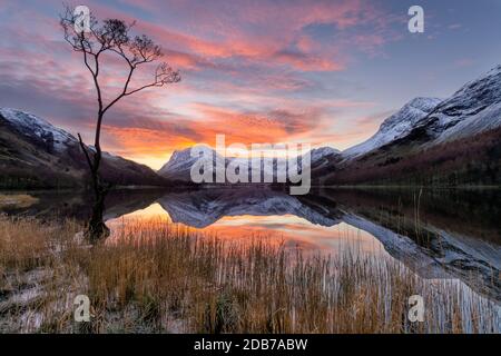 Dramatischer Winteraufgang bei Buttermere im englischen Lake District mit ruhigen Reflexen im See und interessantem einteiliger Baum. Stockfoto