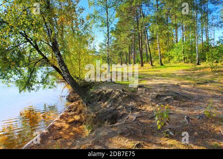 Senftenberg See Strand, Lausitzer Seenplatte Stockfoto