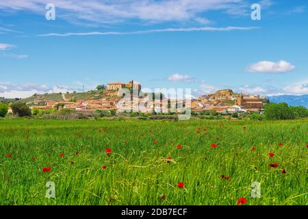 Die mittelalterliche Stadt Sesa in Aragon, Spanien Stockfoto