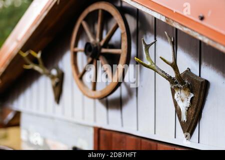 Holzschuppen oder Hütte mit Geweih und Karre Radschmuck über Türen. Trophäe vom Hirschschädel mit Geweih. Landfarm Stockfoto