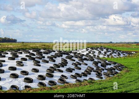 Großer Stapel Silage auf dem Feld mit Kunststofffolie bedeckt Und gebrauchten Reifen Stockfoto