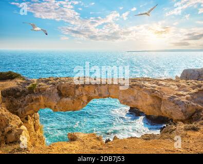 Der berühmtesten Brücke oder Raven Bogen mit Möwen am Himmel. Ein beliebtes Touristenziel. Cavo Cape Greco, Ayia Napa, Zypern Stockfoto