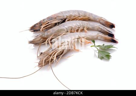 Garnelen Garnelen krustentier Meeresfrüchte weiß isoliert Stockfoto