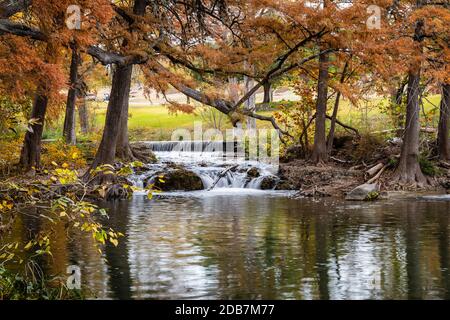 Herbstfarben im Texas Hill Country Stockfoto