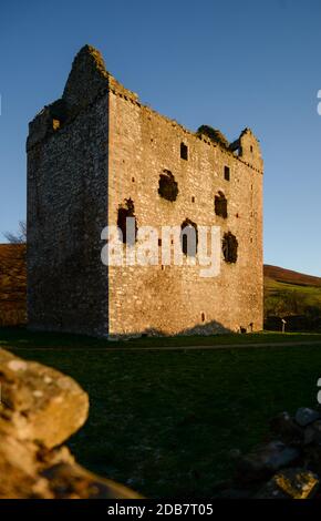 Newark Castle, das über dem Wasser von Yarrow auf dem Bowhill Estate in der Nähe von Selkirk in den Scottish Borders, Schottland, Großbritannien, liegt Stockfoto