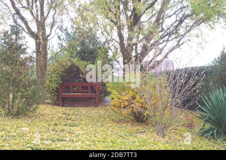 Bank im Garten in der Herbstsaison mit Blättern auf dem Boden. Bäume und Sträucher verloren Laub und sind bereit für den Winter. Stockfoto
