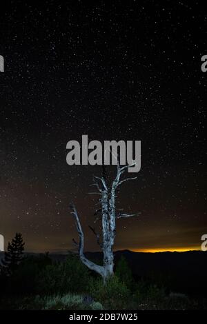 WA18131-00...WASHINGTON - der Nachthimmel über dem Lake Chelan und dem Stadt Chelan vom Gipfel des Cooper Mountain in Der Okanogan Wenatchee National Stockfoto