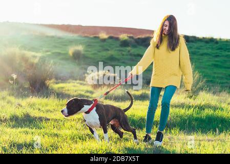 Frau, die ihren Hund auf dem Feld spazieren geht Stockfoto