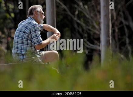 75-jähriger älterer weißgrauhaariger Mann mit Brille Sitzen im Wald in der Nähe von Central California Strand in der Zukunft In Karierte und Shorts Stockfoto