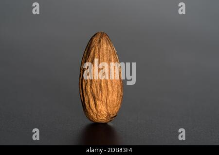 Nahaufnahme einer isolierten Mandel, die auf einem dunklen Tisch vor dunklem Hintergrund steht. Nahaufnahme und minimalistische Aufnahme mit Platz für Text Stockfoto